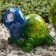 Lamp Garden Era on the Solar Battery "Turtle" LED, IP54