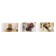 Rectangular white eraser in paper holder, dog, mix