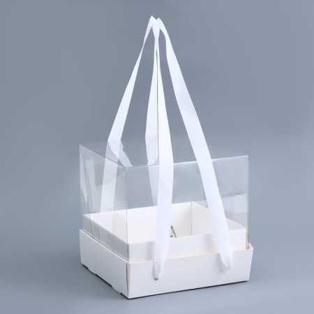 Cake box with a transparent lid, white, 17 x 17 x 15 cm