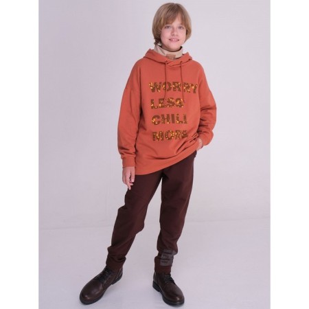 Pants for boys, height 116 cm, chocolate color-4