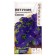 Flowers of Petunia "Super Cascade", Blue, F1, Sem. ALT, c/n, 10 pcs