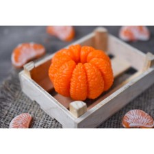 Silicone form for soap 