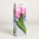 Laminated package for a bottle, 12 x 9 x 36 cm