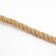 Penacle rope 12 mm (10 m)