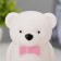 Nightmare "Bear with a bow" LED 2W from 3xlr44 batteries is white-pink 5.5x7.5x11 cm Risalux