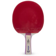 ATEMI 300 CV table tennis