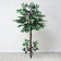 Artificial tree "Ficus with roots" trunk 148 cm, mix