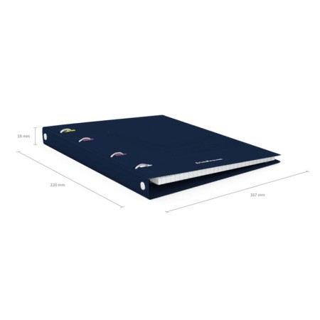 A notebook on the rings A5, 80 sheets in the Erichkrause "Classic", a plastic cover, an offset unit, whiteness is 100%, mix-9