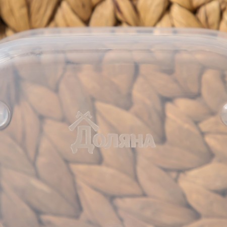 Container square shares, food, 700 ml, color color blue-4