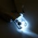 Smart animal clawers, with a file, LED flashlight and a claw container, on batteries