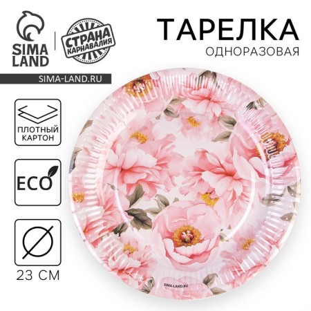 Disposable paper plate "Pion", 23 cm