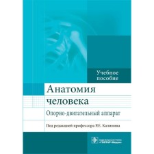 Анатомия человека. Опорно-двигательный аппарат. Учебное пособие. Андреева И.В., Калинин Р.Е., Сучков И.А.