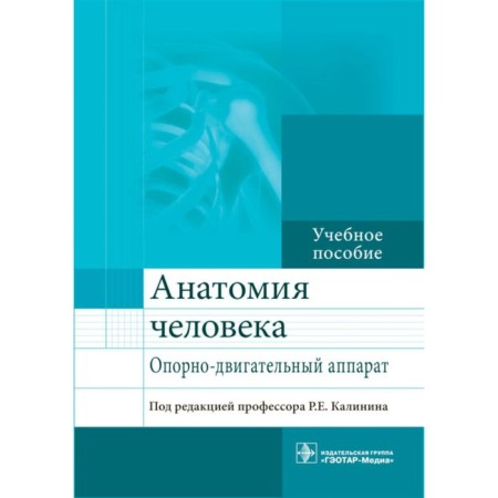Human anatomy. Corruption apparatus. Tutorial. Andreeva I.V., Kalinin R.E., Schukov I.A.