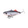 Rattlin Namazu Veiro, L = 66 mm, 16.5 g, sinking, color No. 5