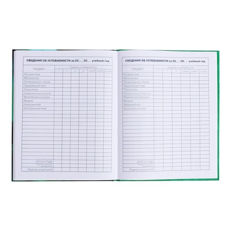 Diary for grades 1-4, solid cover "Drafting", glossy lamination, block 60g/m²-10