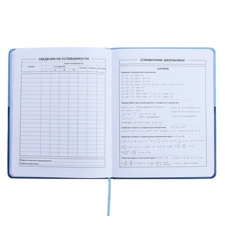 Universal Diary Grade 1-11, 48 sheets "Blue", a solid cover made of artificial leather, pancake embossing, Lasasse-9