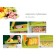 Ourson Easy Cut & Chop CV2808PM/MC