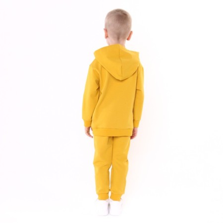 Kit for children (sweatshirt, trousers), mustard color, height 104 cm-4