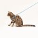Set "Dogs", leash 120 x 1 cm, og 23-35 cm, blue