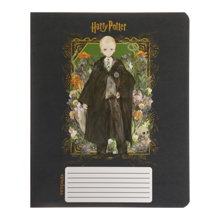 Notebook of 12 sheets in the Harry Potter cage, covered cardboard, OFSET block 65, 5 species mix-3