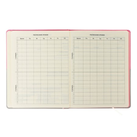 Universal diary for grade 1-11 CAT, hard cover, artificial leather, silk-screen printing, liesse, 80 g/m2-4