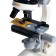 Children's microscope "Young botanist", multiplicity x100, x400, x1200, backlight