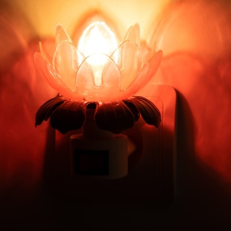 Nightlight "Blocked flower" 220V E12 MIX 9x9.5 cm Risalux-7