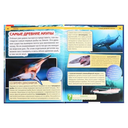 Encyclopedia with developing tasks "Sharks"-4