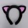 New Year's rim cat, black color with sparkles