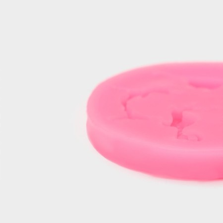 Mold "sea inhabitants", silicone, 5.8 × 5.8 × 0.8 cm, color mix-3