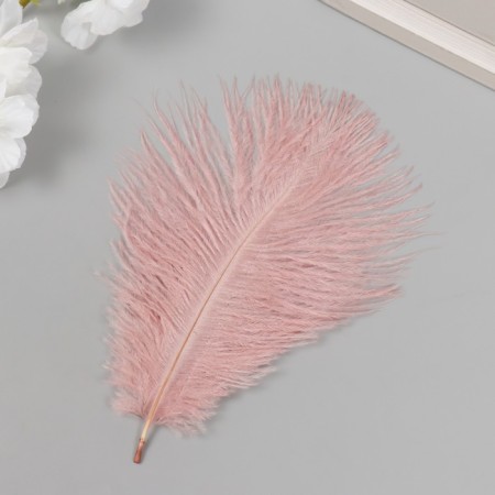 Pen of decorative ostrich "Dust Rose" h = 15-20 cm