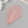 Pen of decorative ostrich "Dust Rose" h = 15-20 cm