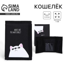 Velcro wallet 