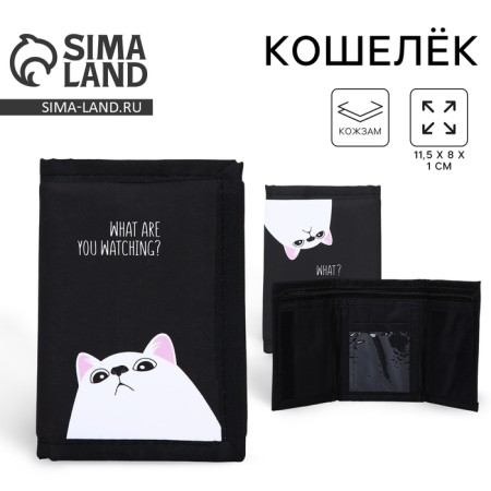Velcro wallet "cat"