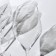 A set of glasses for the wine Loxia, glass, 510 ml, 6 pcs