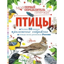 Birds. Rakhcheeva M.V.