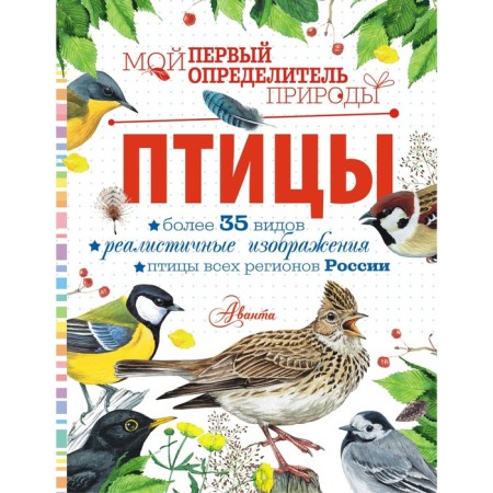 Birds. Rakhcheeva M.V.