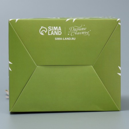 Boxes for mini bouquets "Girafics", 12 × 20 × 10 cm-3