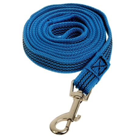 Kaponnoye zoonik leash with latex thread, 2 m x 2 cm, blue