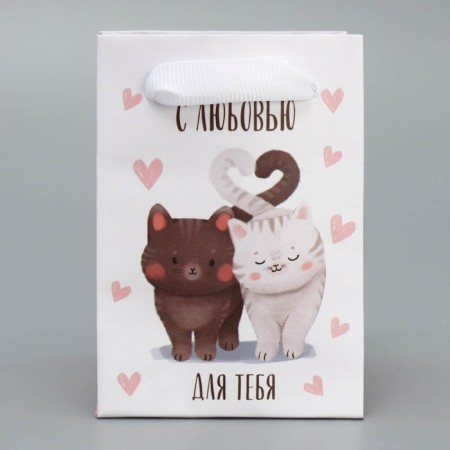 Gift laminated package, packaging, “cats”, 7 x 10 x 7 cm-1