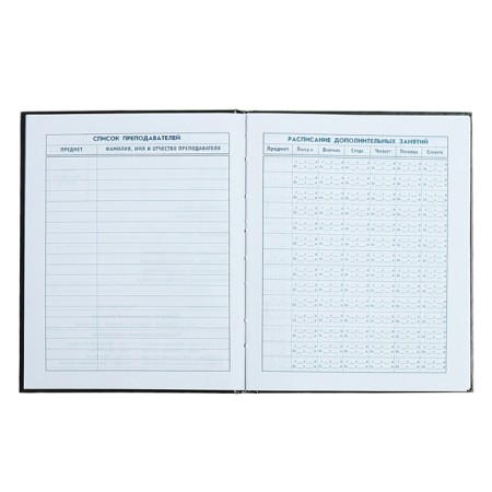 Diary for grades 1-4, 48 sheets of the "Dragon Eye", solid cover cardboard 7BC, glossy lamination, cheat sheet, 65 g/m2-5