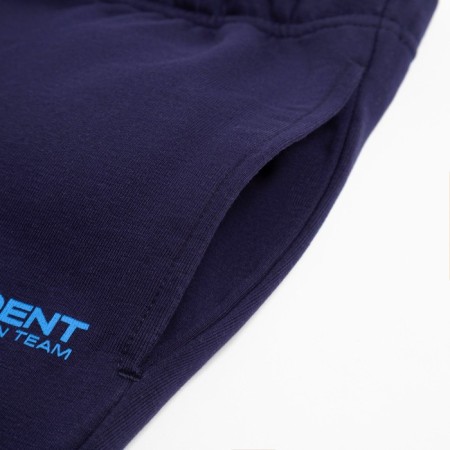 President trousers, size l, blue color-14