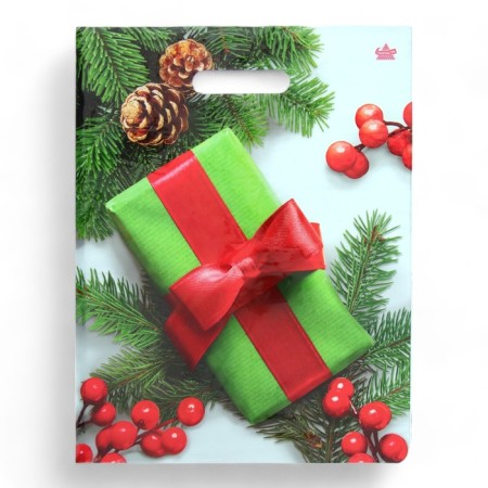 Package "Kalina as a gift", polyethylene with a cut pen, 40x31 cm, 60 μm