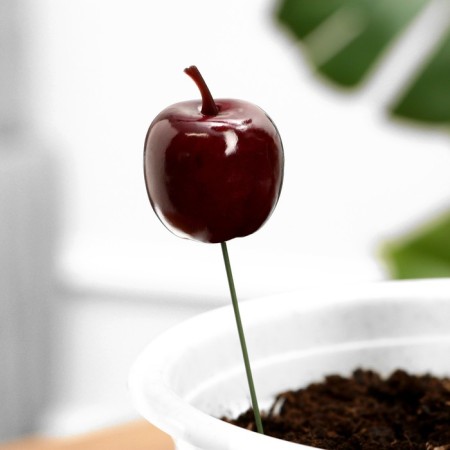 Set of plugs "Apple" 10pcs, 3cm, length 25cm-1