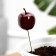 Set of plugs "Apple" 10pcs, 3cm, length 25cm
