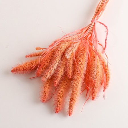 Set of dried flowers "Setaria", ban 7 pcs, length 60-65 (+/- 6 cm), peach-2