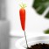 Set of plugs "carrot" 10pcs, 3cm, length 25cm
