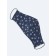 Reusable protective mask, blue color
