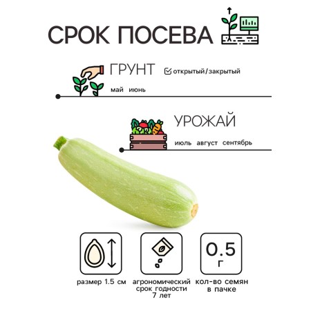 White -fruited zucchini "Grabovsky", 0.5 g-3