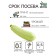 White -fruited zucchini "Grabovsky", 0.5 g